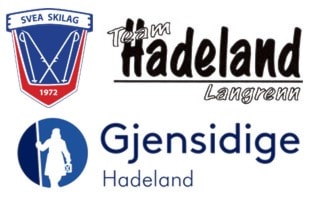 Hadelandsmesterskapet 2015